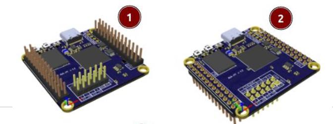 Модуль NAPI P с пинами
